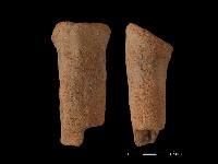 藏品(鼎足)的圖片