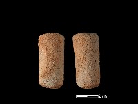 藏品(鼎足)的圖片