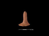 藏品(陶蓋鈕)的圖片