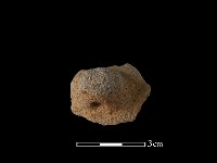 藏品(陶鈕)的圖片