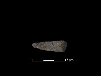 藏品(陶器)的圖片