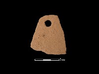 藏品(陶片)的圖片