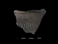 藏品(陶罐)的圖片