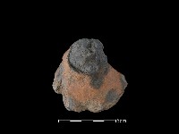 藏品(陶蓋鈕)的圖片