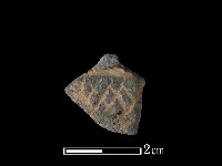 藏品(陶片)的圖片