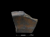 藏品(陶片)的圖片