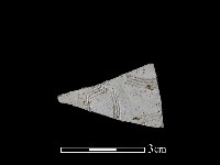 藏品(陶片)的圖片