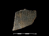 藏品(陶片)的圖片