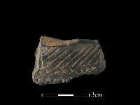 藏品(陶片)的圖片