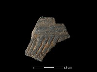 藏品(陶片)的圖片