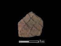 藏品(陶片)的圖片