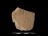 藏品(陶片)的圖片