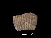 藏品(陶片)的圖片