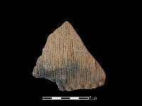 藏品(陶片)的圖片