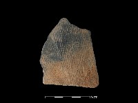 藏品(陶片)的圖片