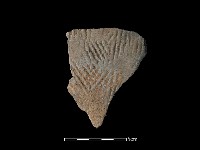 藏品(陶片)的圖片