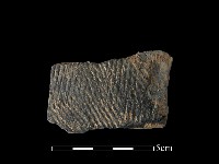 藏品(陶片)的圖片