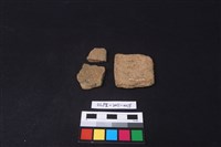 藏品(陶片)的圖片