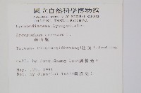 藏品(過山龍)的圖片