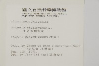 藏品(半月形鐵線蕨)的圖片