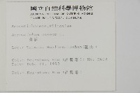 藏品(鹵蕨)的圖片