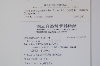 藏品(小葉劍蕨)的圖片