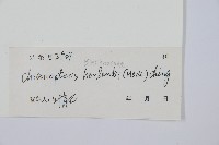 藏品(崇澍蕨)的圖片