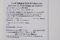 藏品(長葉鱗毛蕨)的圖片