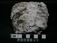 藏品(石英岩)的圖片