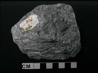 藏品(片岩)的圖片