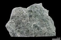 藏品(變質安山岩 )的圖片