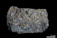 藏品(礫岩)的圖片