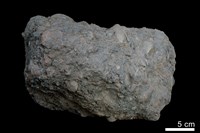 藏品(角礫岩)的圖片