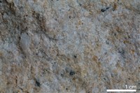 藏品(石英砂岩)的圖片