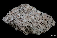 藏品(石灰華)的圖片