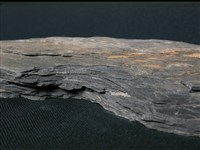 藏品(片岩)的圖片