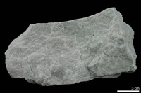 藏品(大理岩)的圖片