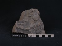 藏品(板岩/砂岩)的圖片