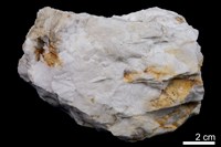 藏品(石英)的圖片