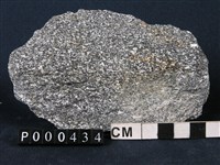 藏品(角閃岩)的圖片