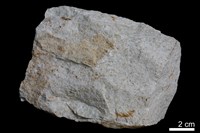 藏品(長石砂岩)的圖片