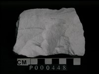 藏品(白雲岩)的圖片