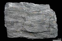 藏品(黑色片岩)的圖片