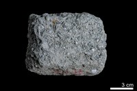 藏品(礫岩)的圖片