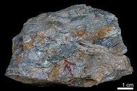 藏品(混濁砂岩)的圖片