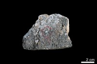 藏品(礫岩)的圖片