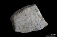 藏品(礫岩)的圖片