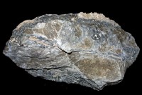 藏品(方鉛礦/閃鋅礦/硫砷銅礦)的圖片