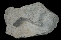 藏品(白雲岩)的圖片