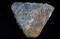 藏品(陽起石)的圖片